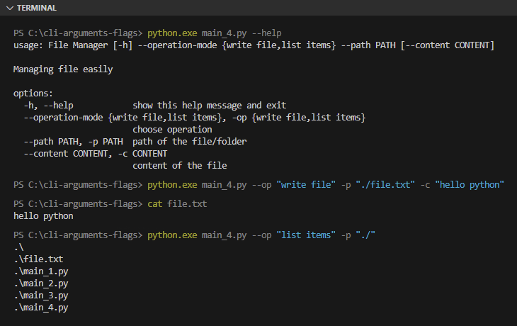 Python CLI Arguments &amp; Flags